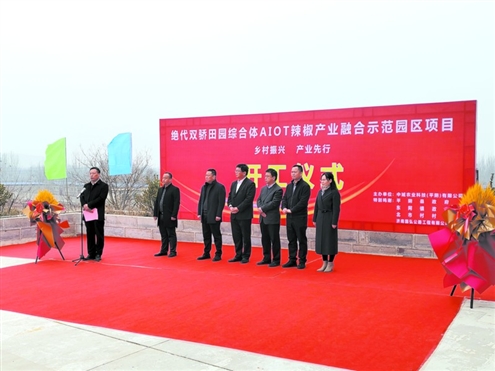 绝代双骄辣椒种植项目建设辣椒核心示范基地约1000亩